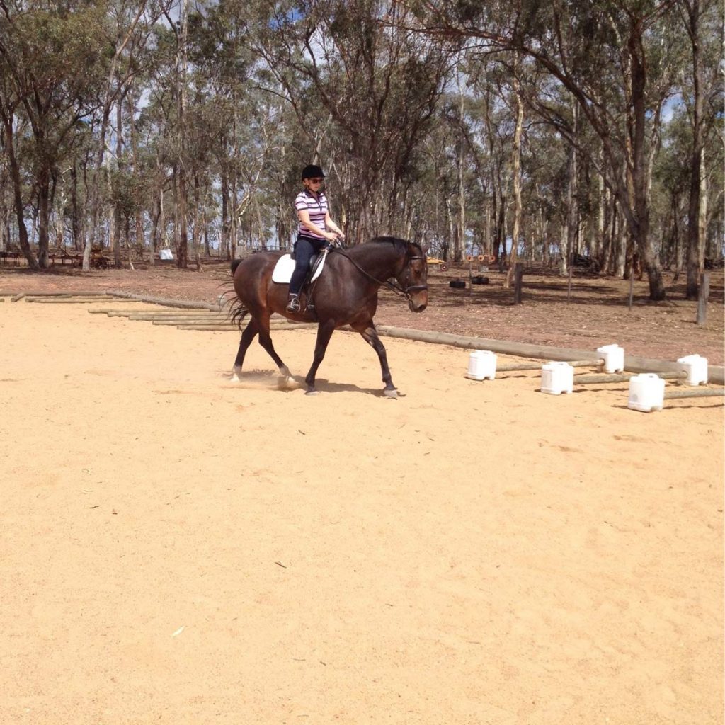 horse-arena-sand-epsom-sand-and-soil