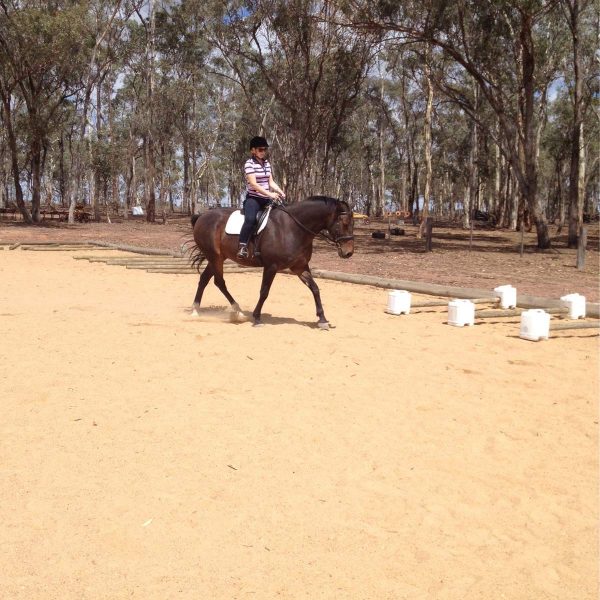 Horse Arena Sand available at Epsom Sand and Soil Bendigo