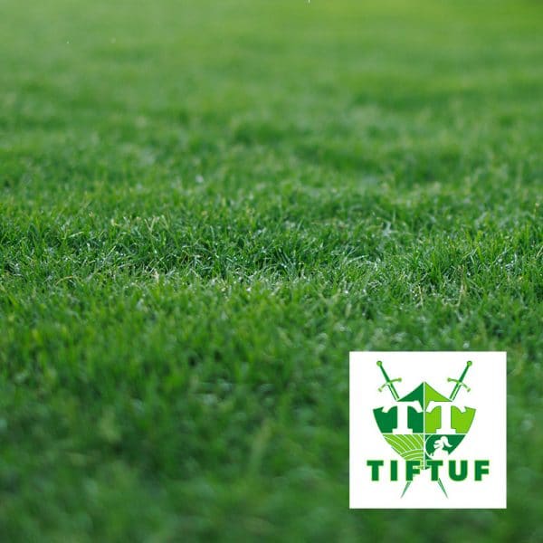 Coolabah TifTuf Instant Turf - Epsom Sand and Soil Bendigo