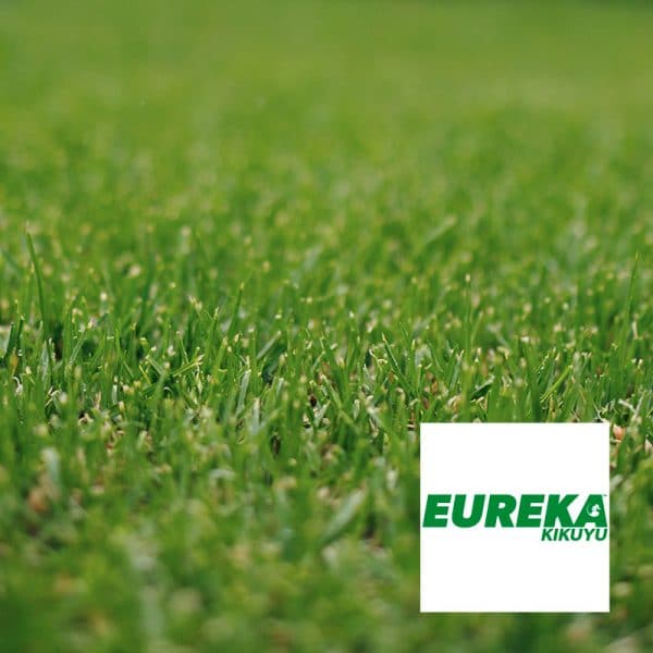 Coolabah Instant Kikuyu Instant Turf - Epsom Sand and Soil Bendigo