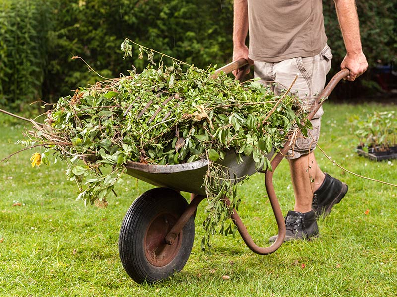 Autumn Gardening Preparation Tips