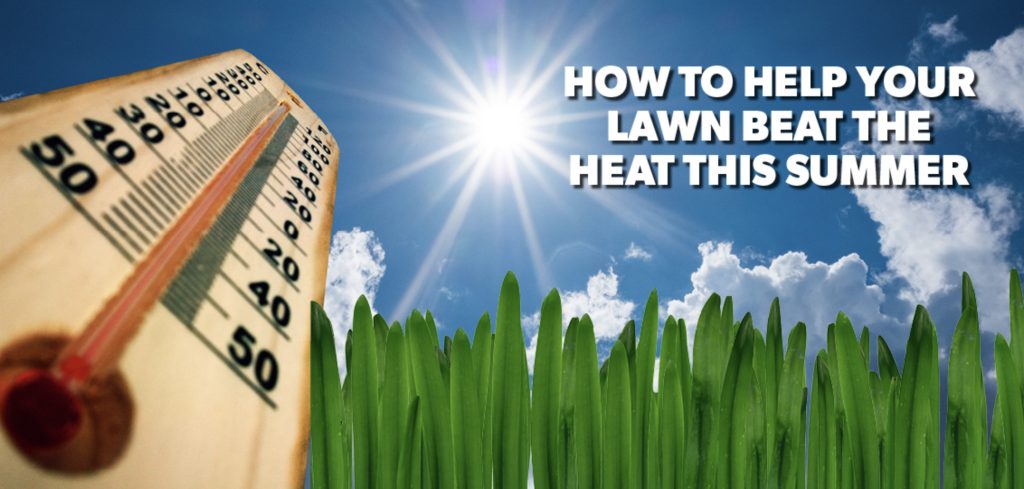 Help your lawn beat the Summer heat